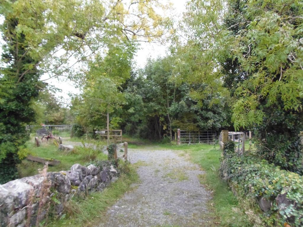Caheroyn House Athenry Εξωτερικό φωτογραφία